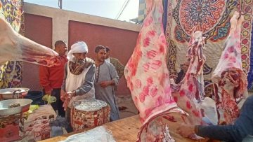 عاجل.. فتح منفذ جديد للحوم البلدية بأسعار مخفضة بمركز أبنوب بـ 290 جنيها للكيلو
