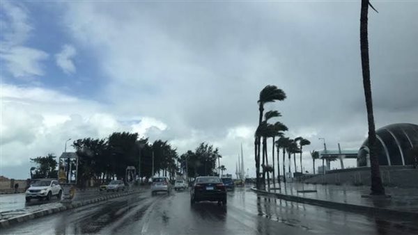 عاجل.. عاجل.. حالة الطقس اليوم وتحذيرات الأرصاد من الشبورة والأمطار