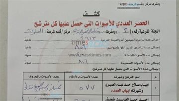 عاجل.. منافسة محتدمة في لجان المنزلة بالدقهلية قبل إعلان النتائج النهائية لانتخابات النواب| تفاصيل