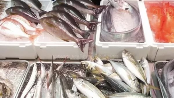 عاجل.. أسعار السمك اليوم الأحد 21 ديسمبر 2025 في سوق العبور