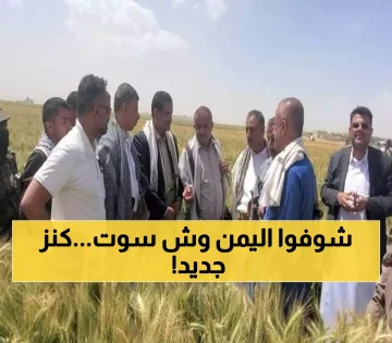 عاجل.. إنجاز تاريخي.. مزارعون يمنيون ينجحون في زراعة محصول ثمين سيدفع الاقتصاد اليمني إلى العالمية !!