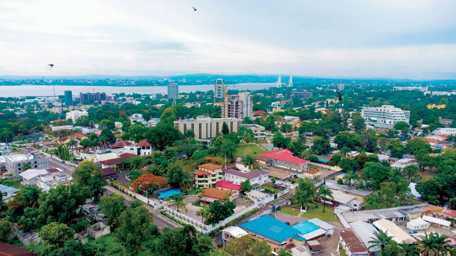 عاجل.. مجلس الأمن يمدد مهمة بعثة الكونغو