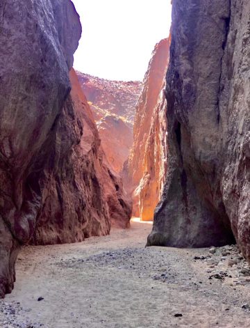 عاجل.. متقاعد بالبادية يضع منطقته على خارطة السياحة… ما التفاصيل؟