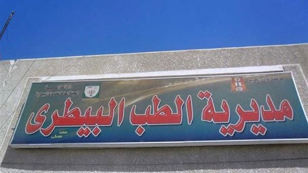 عاجل.. مفاجأة غير متوقعة بشأن “تماسيح الزوامل”.. وتحذير من “بيطري الشرقية” للأهالي