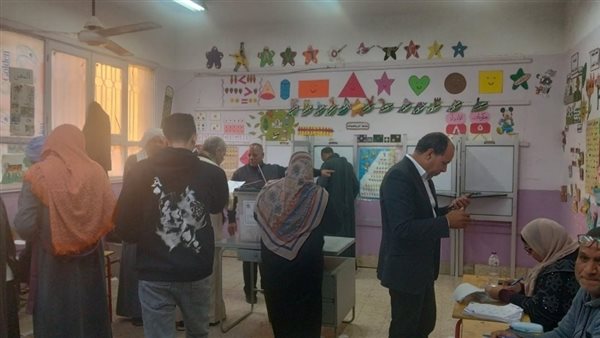 عاجل.. مؤشرات أولية غير رسمية.. الإعادة بين 4 مرشحين في انتخابات مجلس النواب بأبو قرقاص بالمنيا