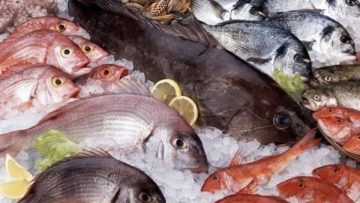 عاجل.. مصر الرابعة عالميًا والأولى أفريقيا في الإنتاج