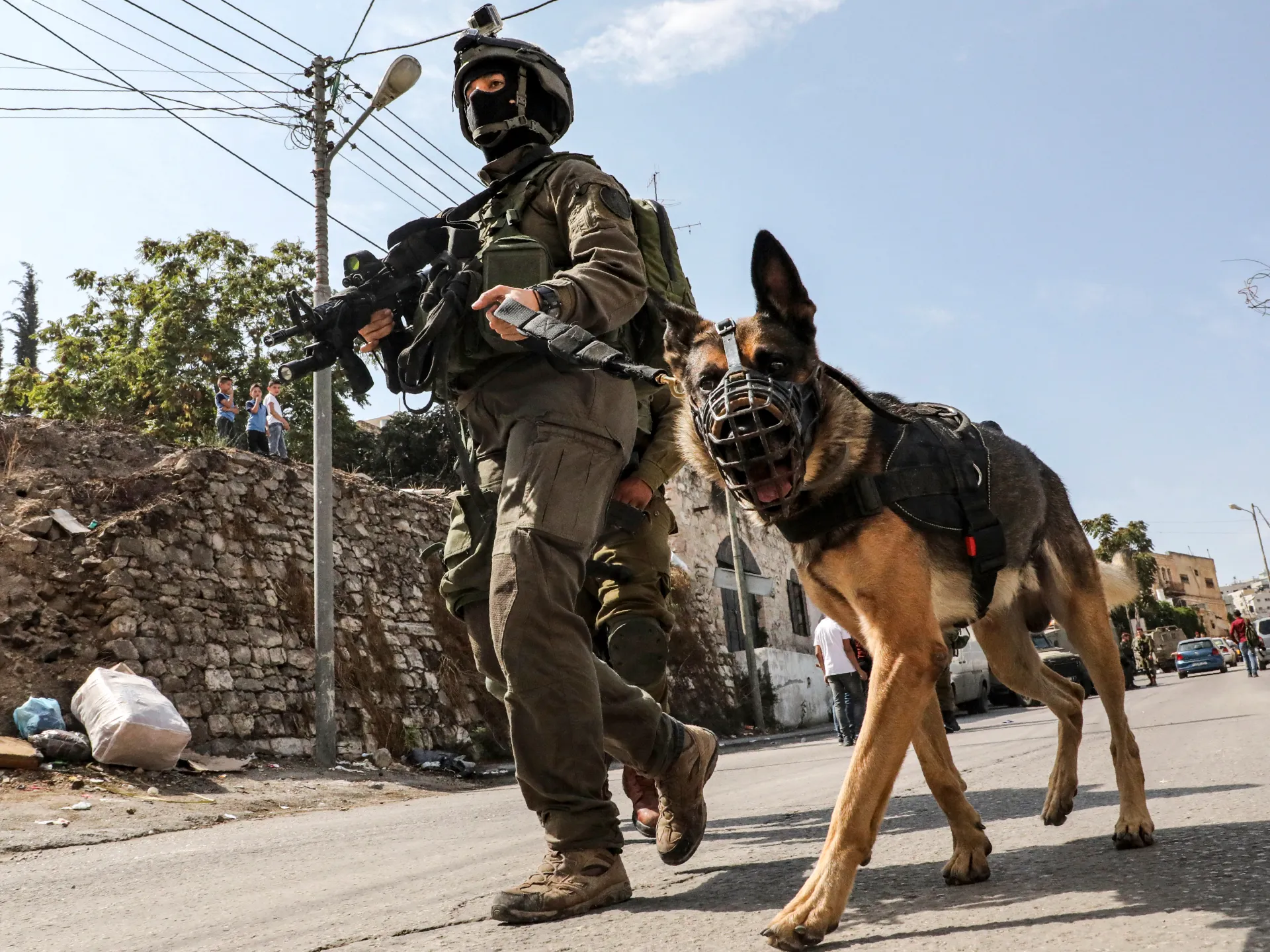 عاجل.. عشرات الجنود الإسرائيليين يتلقون علاجاً عاجلاً بعد إصابة كلاب بداء الكلب