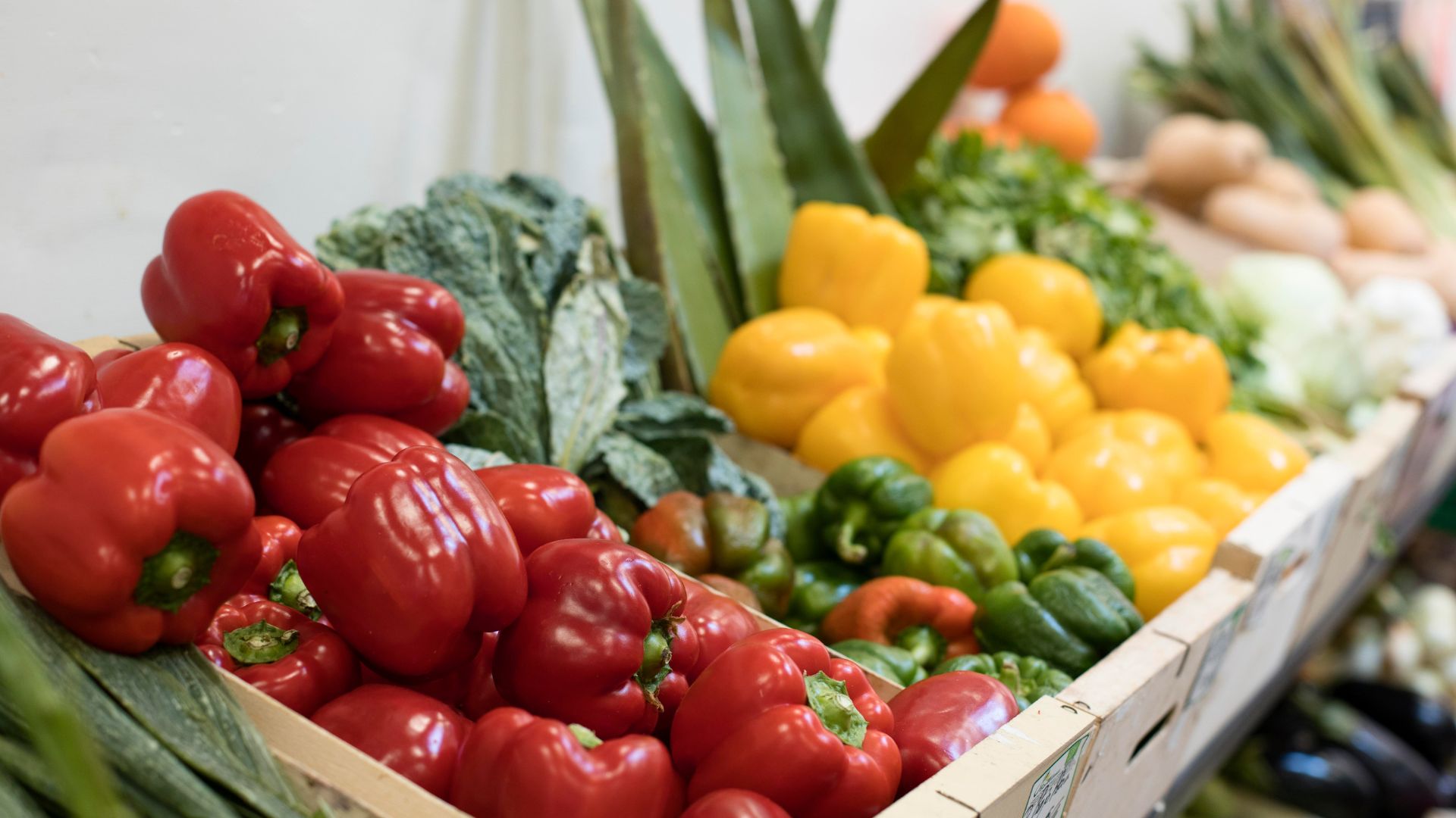 عاجل.. أسعار الخضار والفواكه بالسوق المركزي اليوم