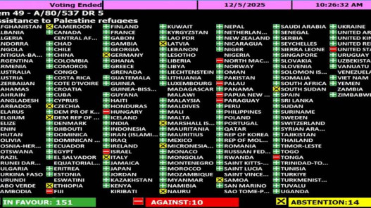 عاجل.. الأمم المتحدة تعتمد 5 قرارات لصالح فلسطين بأغلبية ساحقة