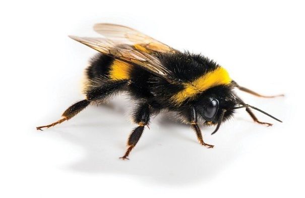 عاجل.. مزاج واحد يغيّر المزاج كله!