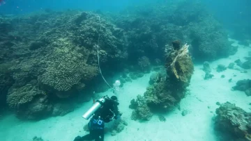 عاجل.. عاجل: كنز عمره 800 عام يُكتشف لأول مرة في أعماق البحر الأحمر… علماء العالم في صدمة!