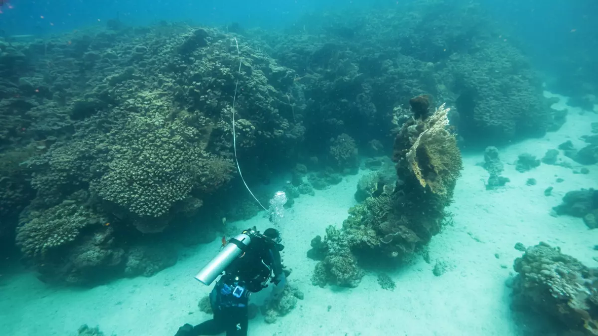 عاجل.. عاجل: كنز عمره 800 عام يُكتشف لأول مرة في أعماق البحر الأحمر… علماء العالم في صدمة!