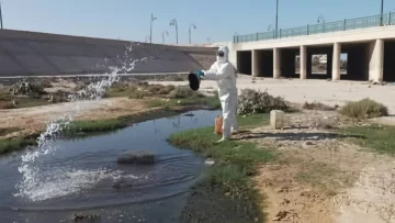 عاجل.. عاجل: كارثة بيئية بالعريش… منازل كاملة تغرق في مياه المجاري والأهالي: “النتن لا يُطاق!”