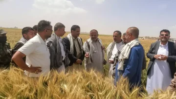 عاجل.. عاجل: ريمة تصنع المعجزة… 100% نجاح في زراعة الزيتون وخبراء: اليمن ستهزم إيطاليا!