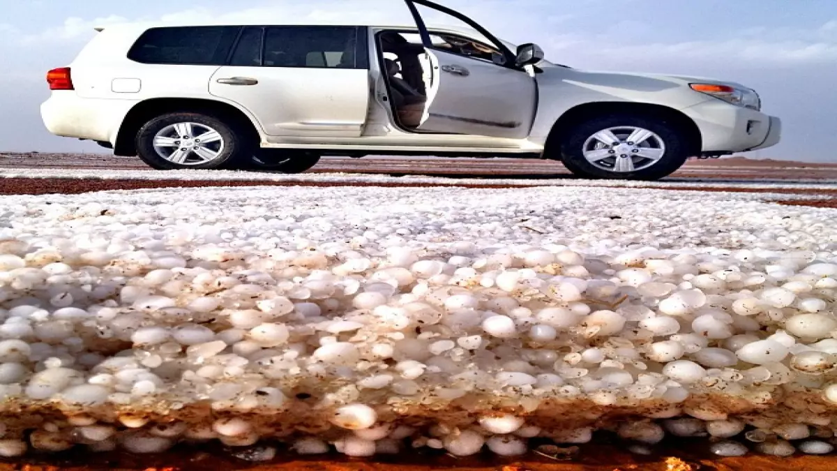 عاجل.. شاهد: حائل تتحول لجنة بيضاء خلال ساعات… البرد الكثيف يخطف أنفاس المتنزهين!