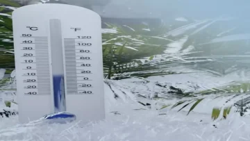 عاجل.. عاجل: تبوك تسجل 5 درجات مئوية… هل تشهد المملكة أبرد موجة برد في التاريخ؟