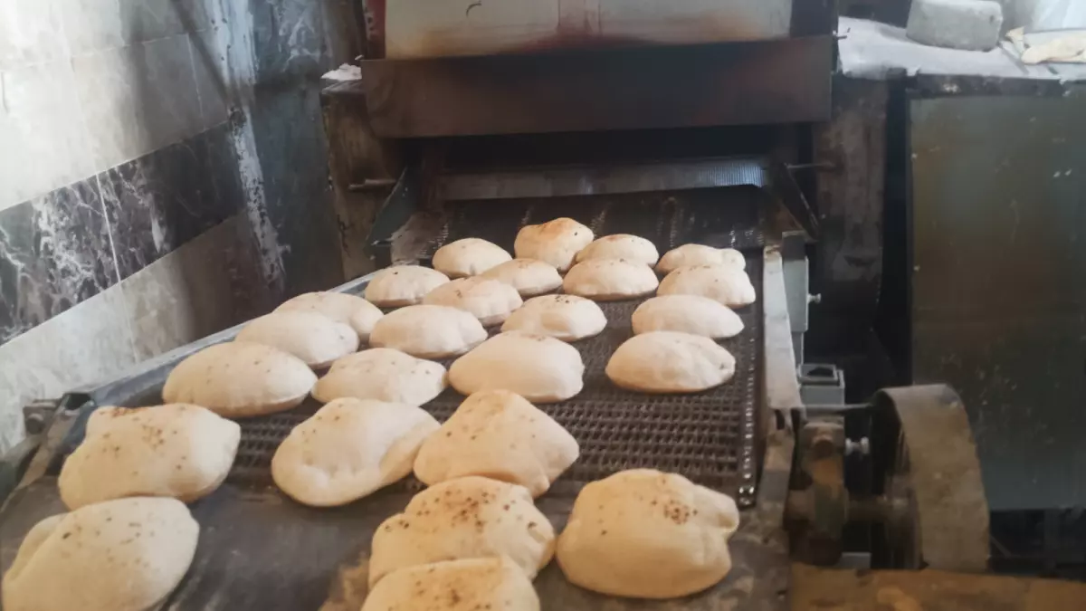 عاجل.. عاجل: ضبط 26 مخالفة صادمة في القليوبية… مخابز تخدع المواطنين ومطاعم بلا أسعار!