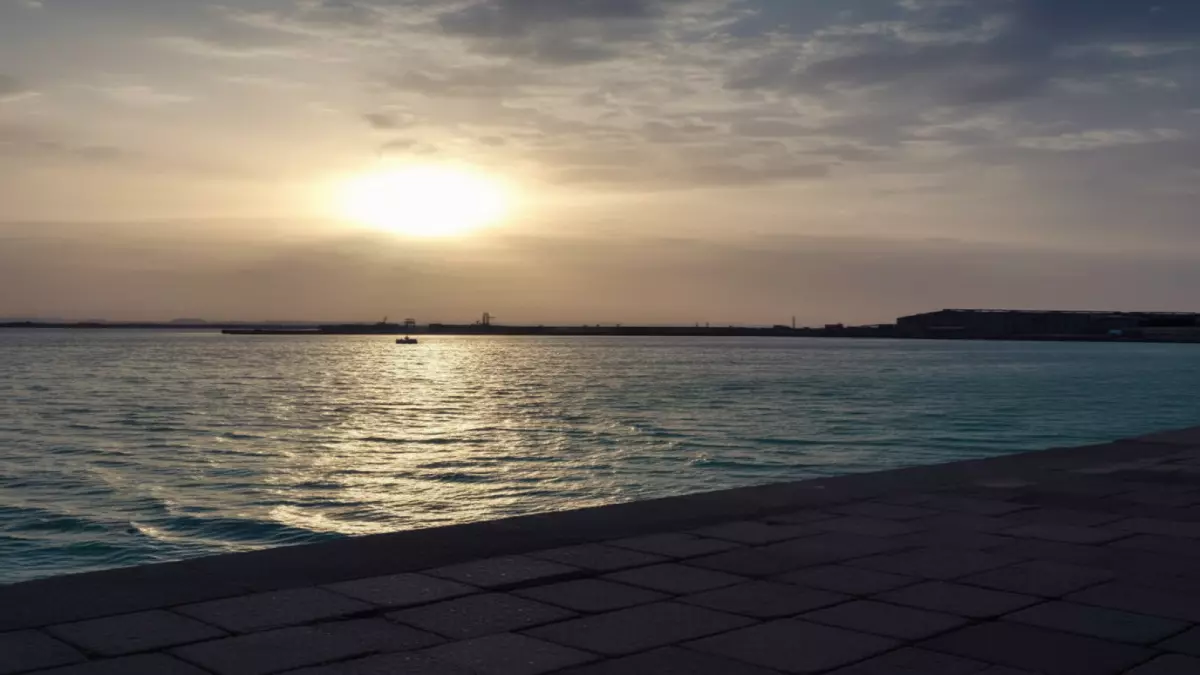 عاجل.. عاجل: انفجار استثماري بـ 139 مليون دولار يحوّل ميناء المخا لعملاق يستوعب 50 ألف طن!