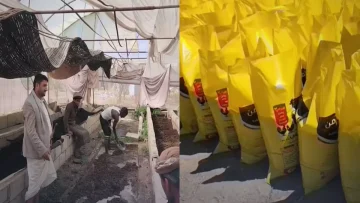 عاجل.. عاجل: اليمن تحقق معجزة اقتصادية.. تحويل القمامة لذهب أخضر بنصف التكلفة!