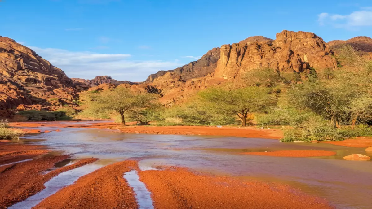 عاجل.. شاهد: أمطار حائل الغزيرة تحول الصحراء لجنة خضراء… والأودية تتدفق بقوة!