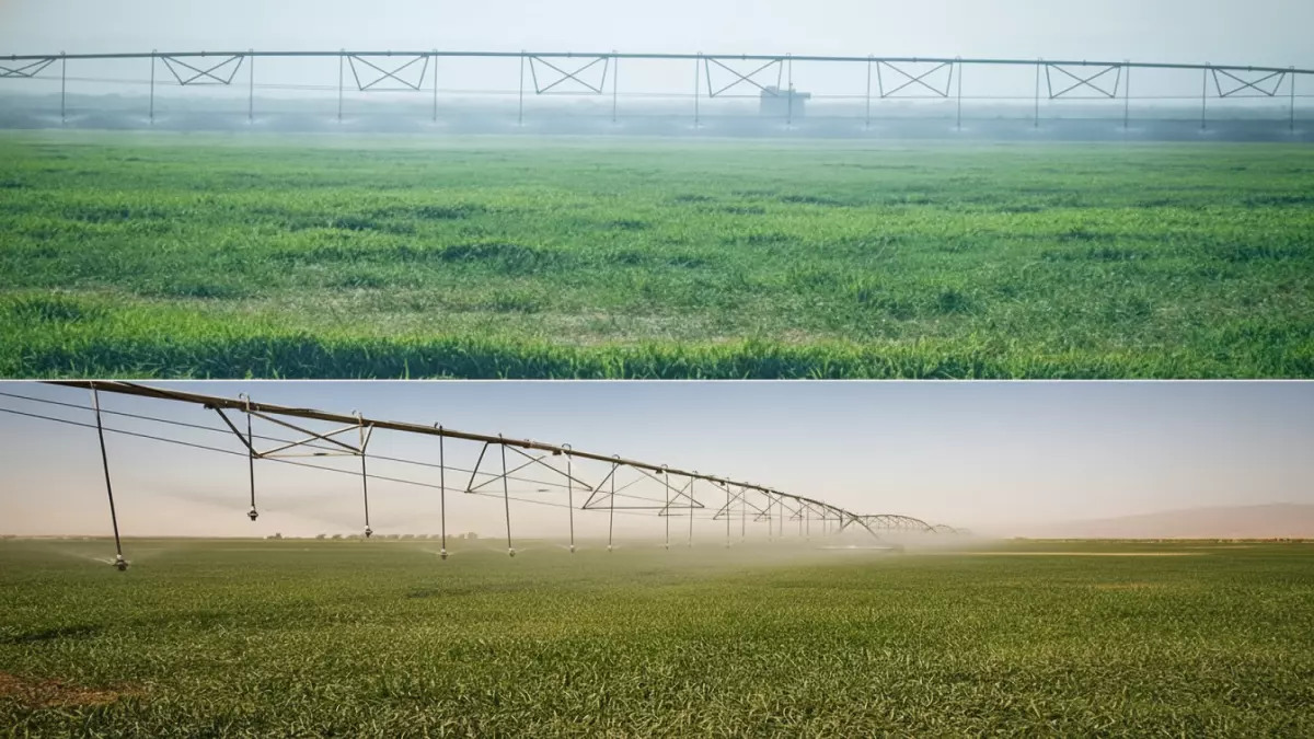 عاجل.. عاجل: اليمن يكسر احتكار القمح المستورد… كيس بـ10 آلاف ريال يوفر مليار دولار سنوياً!