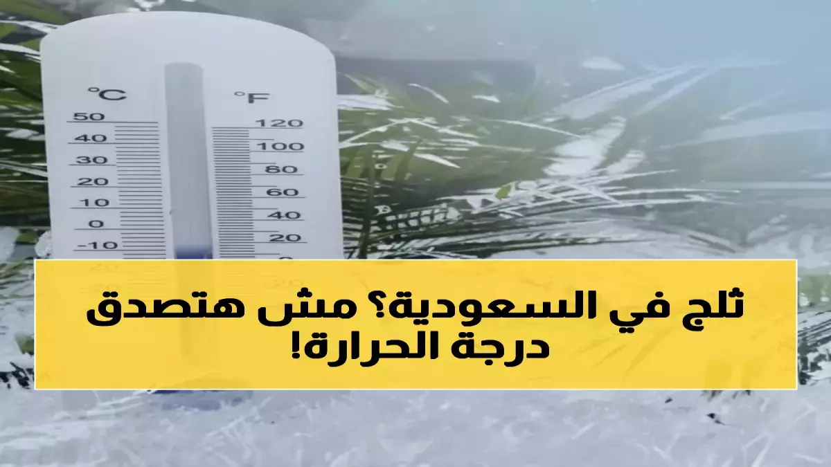عاجل.. عاجل: السعودية تدخل عصر جليدي مصغر – صفر مئوي ومدن تختفي تحت الضباب!