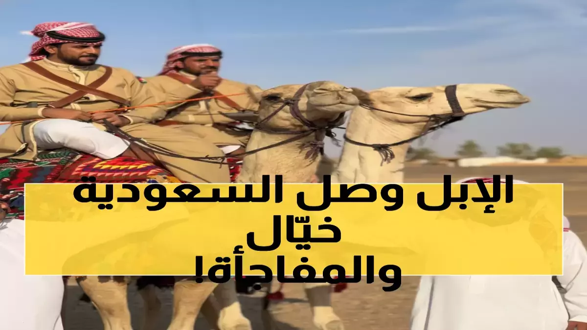 عاجل.. عاجل: شابان أردنيان يصلان مكة على الإبل بعد 1200 كم… والاستقبال السعودي يُبكي الملايين!