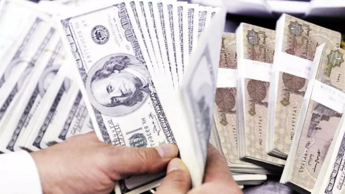 عاجل.. عاجل: ضبط شبكة تجارة عملات سرية في الجيزة… والمبالغ المضبوطة تصدم الجميع!