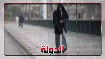 عاجل.. عاجل: موجة قطبية تضرب مصر غداً… الحرارة تنهار لـ11 درجة والشتاء يبدأ رسمياً!