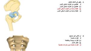 75 سؤالا بالاجابات في الاحياء اوعى تفوتها لـ الثانوية العامة