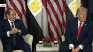 الرئيس السيسي لـ ترامب: نقدر جهودك لإحلال السلام في الشرق الأوسط