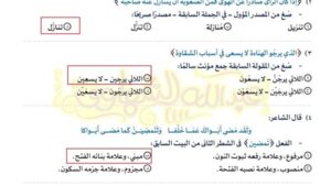 بالاجابات.. النموذج الأول في النحو اختيار من متعدد.. أوعى تفوتها