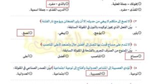 بالاجابات.. النموذج الثاني في النحو اختيار من متعدد.. الدرجات في جيبك