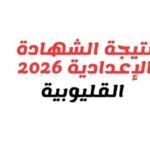 بالاسم ورقم الجلوس.. نتيجة الشهادة الإعدادية بالقليوبية فور اعتمادها من المحافظ