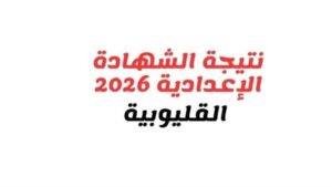 بالاسم ورقم الجلوس.. نتيجة الشهادة الإعدادية بالقليوبية فور اعتمادها من المحافظ