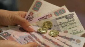 خبير اقتصادي: التحول إلى الدعم النقدي يقلص التشوهات ويعزز كفاءة الأسواق