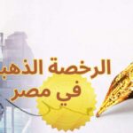 خبير اقتصادي: الرخصة الذهبية ساهمت في خفض مدة وتكلفة تنفيذ المشروعات الصناعية