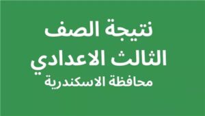 رابط نتيجة إعدادية الإسكندرية 2026.. استعلم فور ظهورها برقم الجلوس