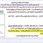 رسميا.. خطوات الاستعلام عن نتيجة الشهادة الإعدادية الغربية على هذا الرابط