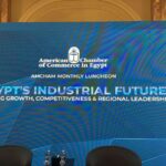 غرفة التجارة الأمريكية تبحث مستقبل الصناعة المصرية وتعزيز التنافسية الإقليمية.. فيديو