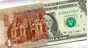 كسر  حاجز الـ 50.. الجنيه أفضل العملات أداء أمام الدولار