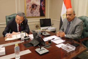 مصر تبحث مع مجموعة صينية تعزيز التعاون في الطاقة المتجددة وتحديث الشبكة الكهربائية