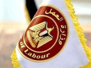 ننشر الرقم.. العمل تطلق خدمة الرد على استفسارات المواطنين عبر “واتساب”