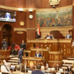 نواب يطالبون بدمج الاقتصاد غير الرسمي.. الشيوخ يناقش خطة التنمية الاقتصادية
