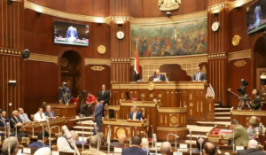 نواب يطالبون بدمج الاقتصاد غير الرسمي.. الشيوخ يناقش خطة التنمية الاقتصادية