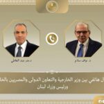 وزير الخارجية يؤكد وقوف مصر إلى جانب لبنان الشقيق