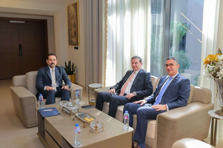 وزيرا التموين والزراعة ومدير جهاز مستقبل مصر يبحثون تعزيز تكامل منظومة الأمن الغذائي