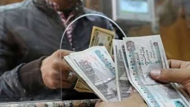 1000 جنيه حافز إضافي للموظفين مع الزيادة الجديدة.. الحكومة تزف بشرى للملايين بشأن مرتبات شهر يوليو