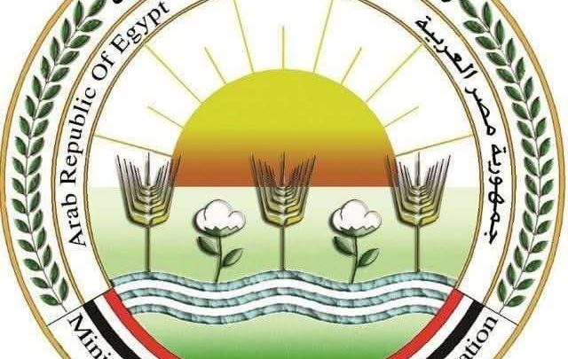 41 ألف حملة ميدانية و214 ألف فحص.. جهود مكثفة للزراعة لمتابعة الوضع الوبائي