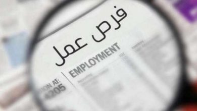 6000 فرصة عمل للشباب.. انطلاق أكبر ملتقى للتوظيف بمشاركة 50 شركة